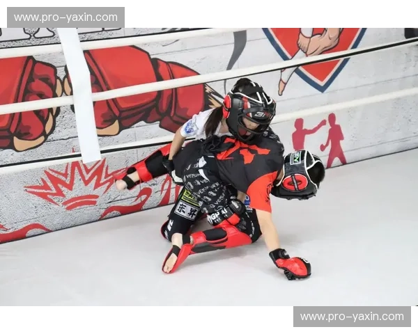 综合格斗助攻：从训练到赛场，点燃你的格斗潜能